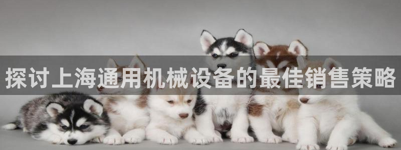 金年会APP官网下载：探讨上海通用机械设备的最佳销售策略