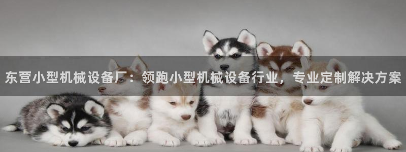 金年会网站下载：东营小型机械设备厂：领跑小型机械设备行业，专业定制解决方案