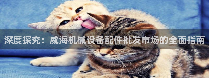 金年会官方网站入口登录网址是多少：深度探究：威海机械设备配件批发市场的全面指南