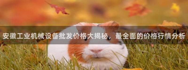 金年会体育买球app下载：安徽工业机械设备批发价格大揭秘，最全面的价格行情分析