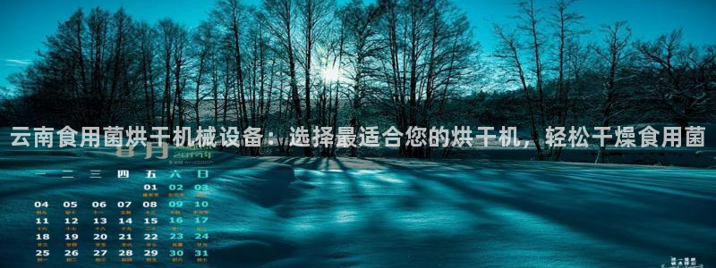 金年会体育苹果下载app：云南食用菌烘干机械设备：选择最适合您的烘干机，轻松干燥食用菌