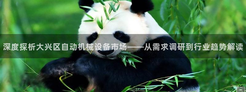 金年会入口登录：深度探析大兴区自动机械设备市场——从需求调研到行业趋势解读