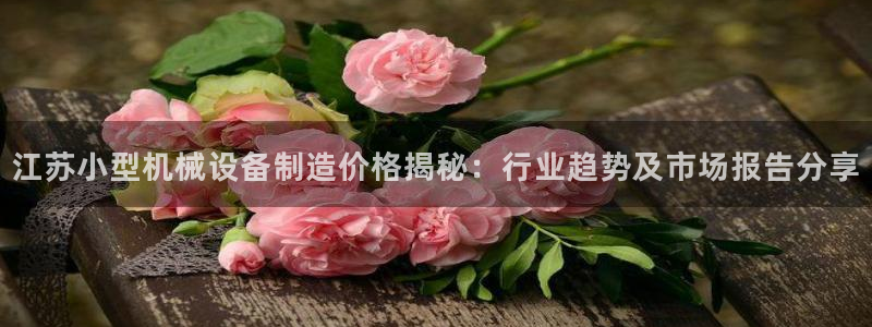 金年会sports：江苏小型机械设备制造价格揭秘：行业趋势及市场报告分享
