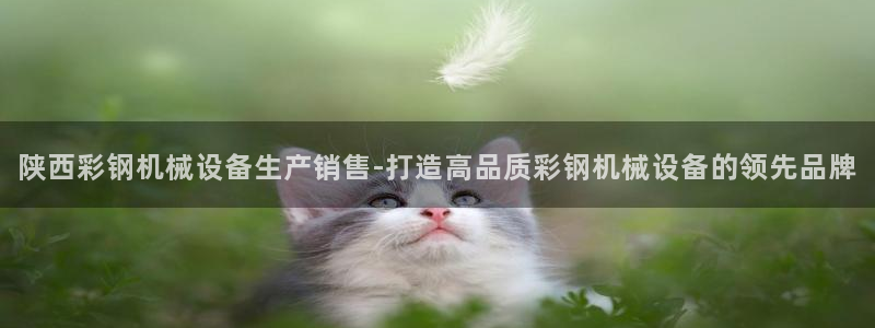 金年会体育在线：陕西彩钢机械设备生产销售-打造高品质彩钢机械设备的领先品牌