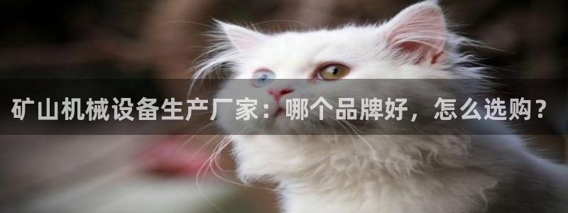 金年会APP官网下载：矿山机械设备生产厂家：哪个品牌好，怎么选购？