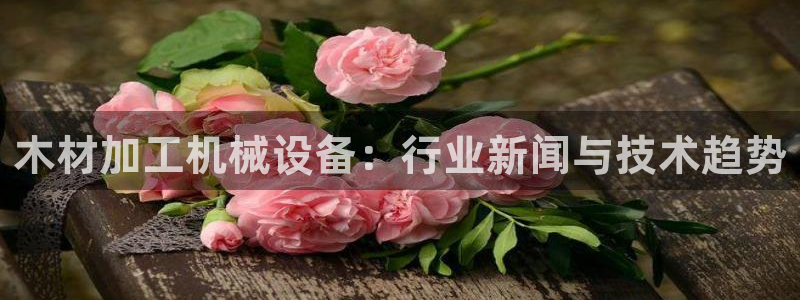 金年会jinnianhuicom：木材加工机械设备：行业新闻与技术趋势