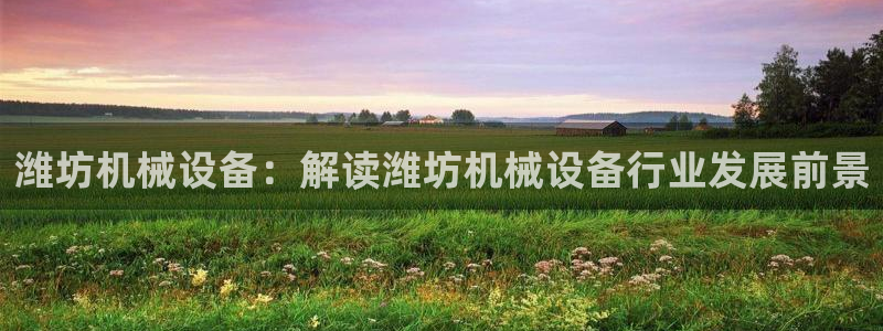 金年会官方app下载安卓：潍坊机械设备：解读潍坊机械设备行业发展前景