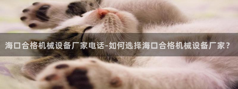 金年会官方入口首页网站下载：海口合格机械设备厂家电话-如何选择海口合格机械设备厂家？