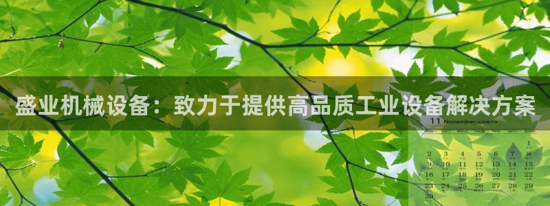 金年会平台官网下载：盛业机械设备：致力于提供高品质工业设备解决方案