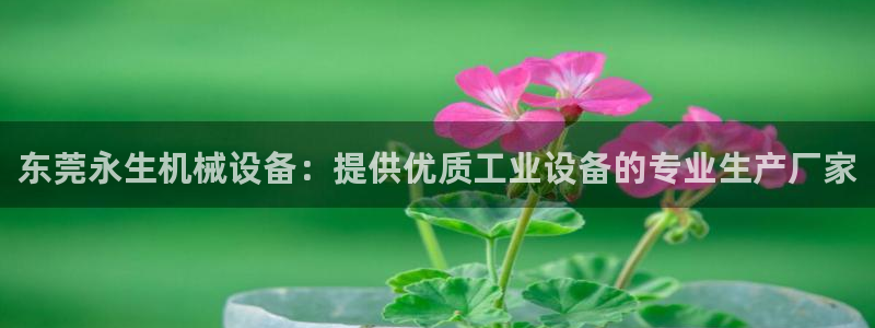 金年会体育中心：东莞永生机械设备：提供优质工业设备的专业生产厂家