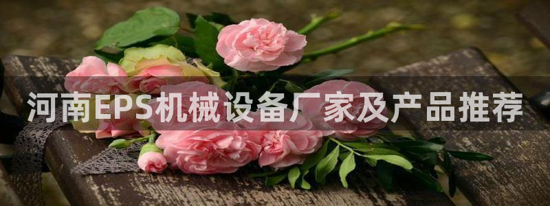 金年会网登录平台入口：河南EPS机械设备厂家及产品推荐