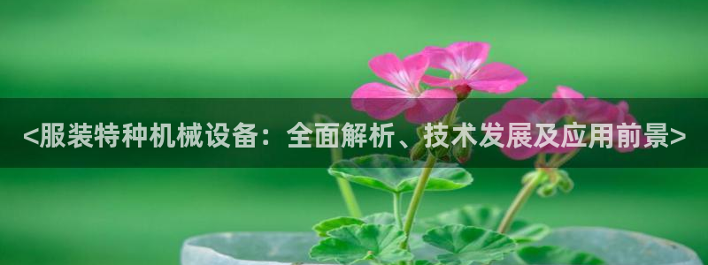 金年会体育网页版：<服装特种机械设备：全面解析、技术发展及应用前景>