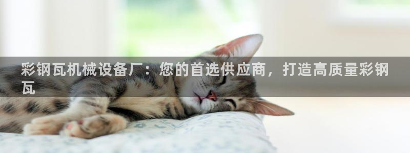 金年会金字招牌入口：彩钢瓦机械设备厂：您的首选供应商，打造高质量彩钢
瓦