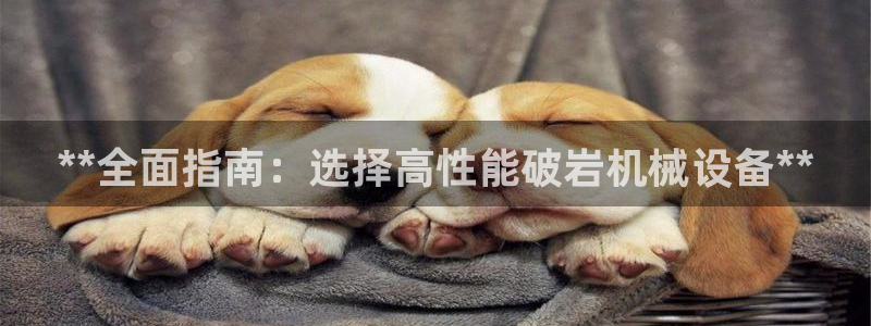 金年会下载官网app：**全面指南：选择高性能破岩机械设备**