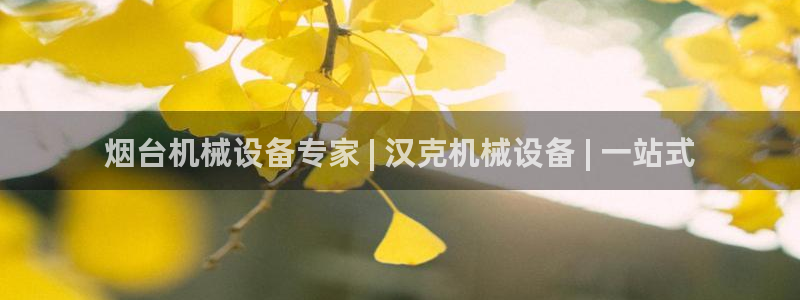 金年会网站可靠吗：烟台机械设备专家 | 汉克机械设备 | 一站式
