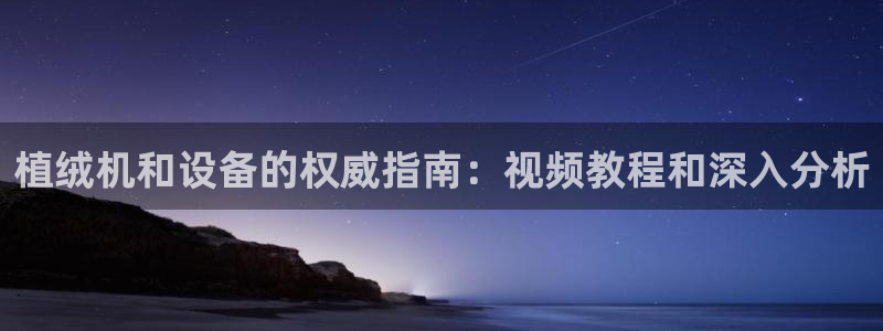 金年会体育官网app：植绒机和设备的权威指南：视频教程和深入分析