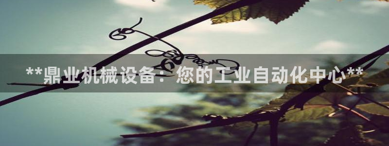 金年会手机网页版下载：**鼎业机械设备：您的工业自动化中心**
