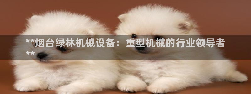 金年会体育官网：**烟台绿林机械设备：重型机械的行业领导者
**