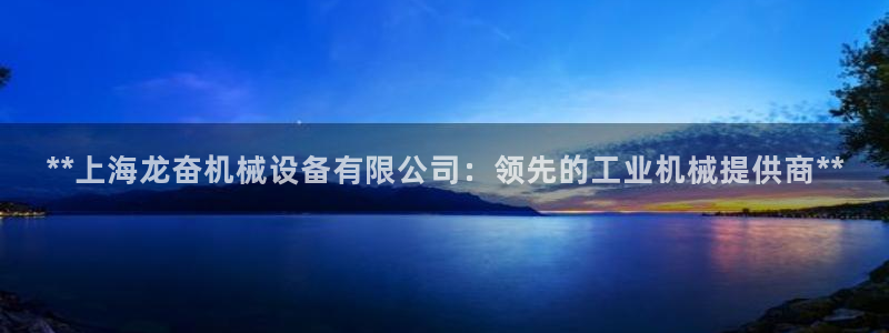 金年会赌博软件：**上海龙奋机械设备有限公司：领先的工业机械提供商**