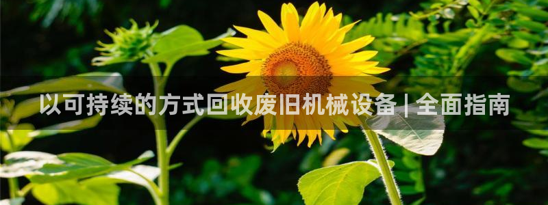 金年会体育平台官网app：以可持续的方式回收废旧机械设备 | 全面指南