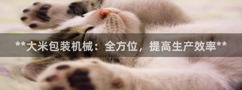 金年会pg麻将胡了：**大米包装机械：全方位，提高生产效率**