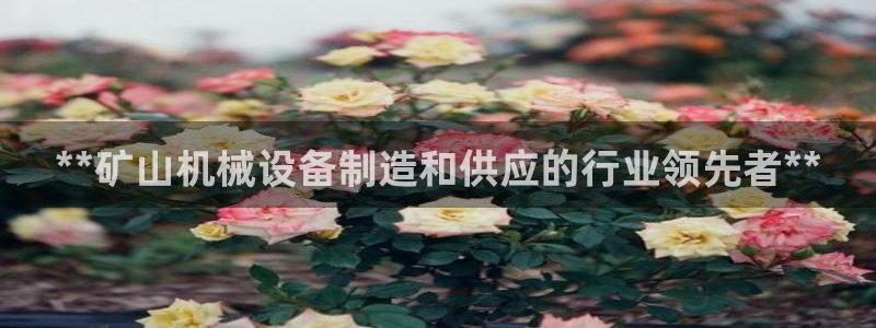 金年会平台官网登录：**矿山机械设备制造和供应的行业领先者**