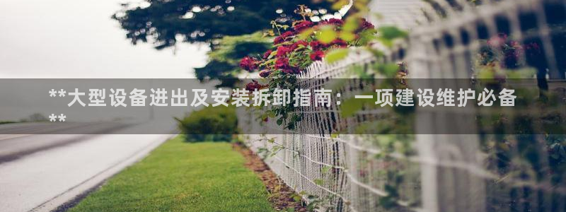 金年会下载中心：**大型设备进出及安装拆卸指南：一项建设维护必备
**