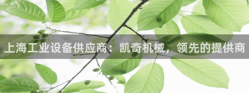 金年会网登录平台入口：上海工业设备供应商：凯奇机械，领先的提供商