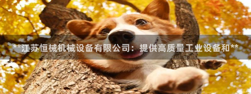 金年会体育app官网入口网址：**江苏恒械机械设备有限公司：提供高质量工业设备和**