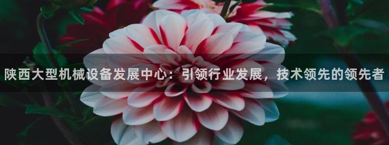 金年会电子官网下载：陕西大型机械设备发展中心：引领行业发展，技术领先的领先者