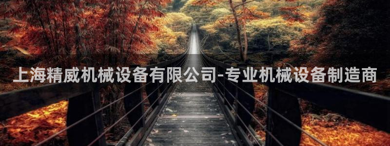 金年会体育论坛：上海精威机械设备有限公司-专业机械设备制造商