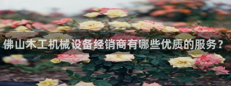金年会官方入口首页网站下载：佛山木工机械设备经销商有哪些优质的服务？