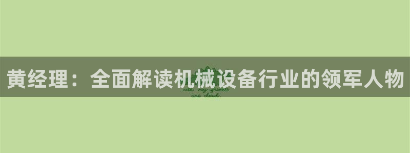 金年会入口网站：黄经理：全面解读机械设备行业的领军人物