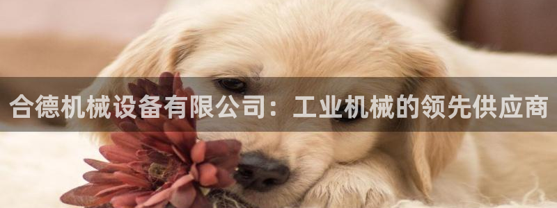 金年会官方网站入口登录网址：合德机械设备有限公司：工业机械的领先供应商