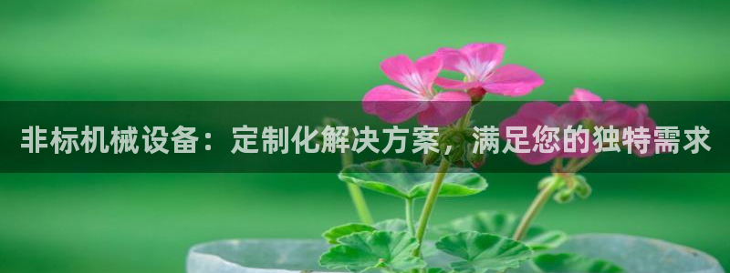 金年会体育网站：非标机械设备：定制化解决方案，满足您的独特需求