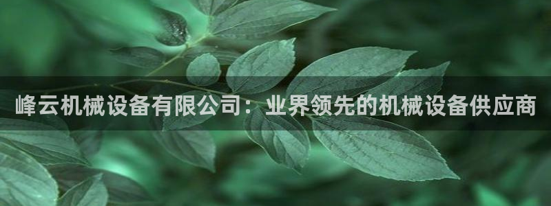 金年会体育买球app下载：峰云机械设备有限公司：业界领先的机械设备供应商