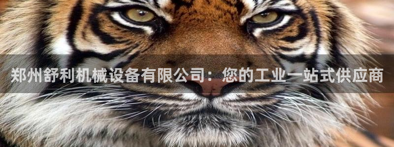 金年会体育官方app下载安装：郑州舒利机械设备有限公司：您的工业一站式供应商