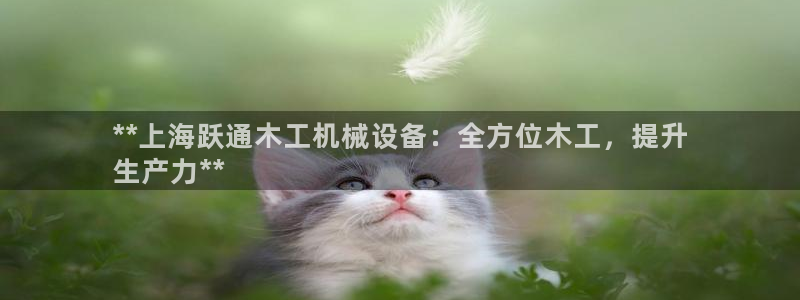 金年会官方下载入口手机版：**上海跃通木工机械设备：全方位木工，提升
生产力**