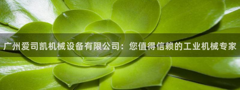 金年会官方在线登录网址是什么：广州爱司凯机械设备有限公司：您值得信赖的工业机械专家