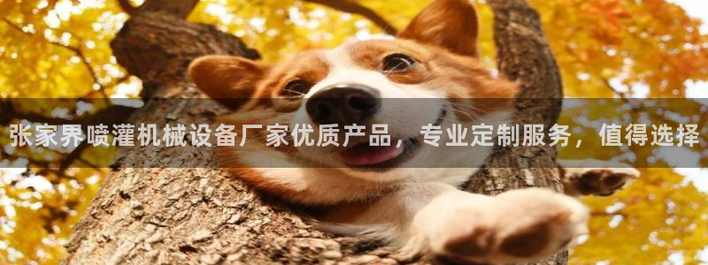 金年会体育app平台怎么样：张家界喷灌机械设备厂家优质产品，专业定制服务，值得选择