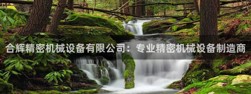 金年会诚信至上：合辉精密机械设备有限公司：专业精密机械设备制造商