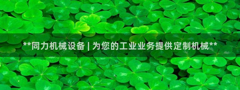 金年会体育app最新官网：**同力机械设备 | 为您的工业业务提供定制机械**