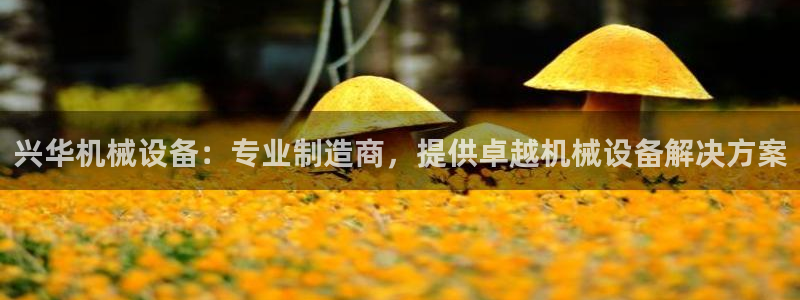 金年会网址导航：兴华机械设备：专业制造商，提供卓越机械设备解决方案