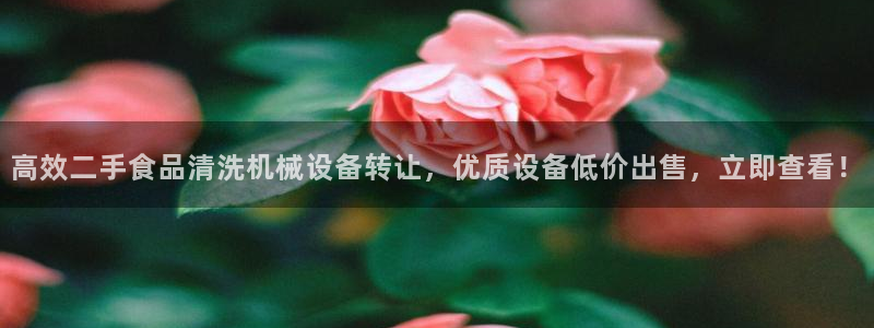 金年会体育网站：高效二手食品清洗机械设备转让，优质设备低价出售，立即查看！