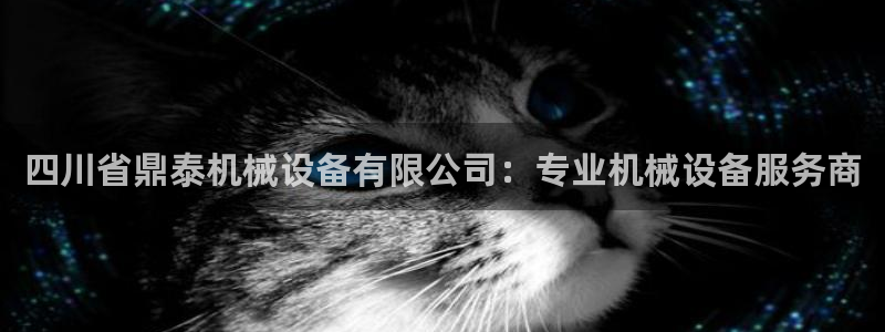 金年会pg麻将胡了几张牌：四川省鼎泰机械设备有限公司：专业机械设备服务商