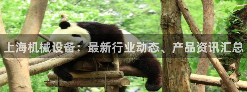 金年会体育官网登录入口下载：上海机械设备：最新行业动态、产品资讯汇总