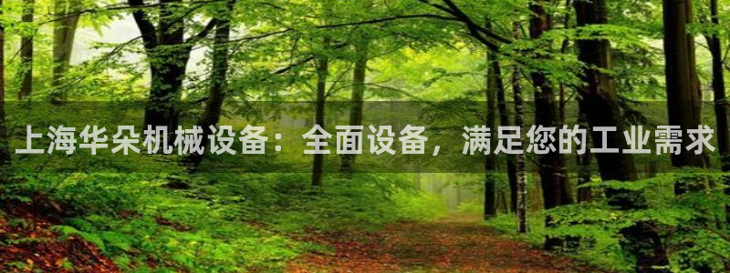 金年会体育综合App：上海华朵机械设备：全面设备，满足您的工业需求