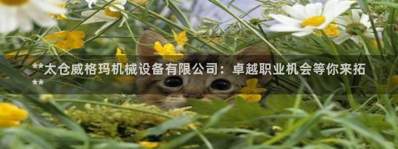 金年会金字招牌诚信至上龙年：**太仓威格玛机械设备有限公司：卓越职业机会等你来拓
**