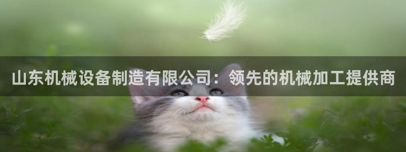 金年会官方平台：山东机械设备制造有限公司：领先的机械加工提供商