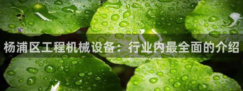 金年会体育平台是真的吗知乎：杨浦区工程机械设备：行业内最全面的介绍